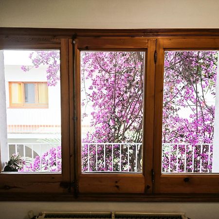 El Penell Apartament Llevant Vilamaniscle Dış mekan fotoğraf