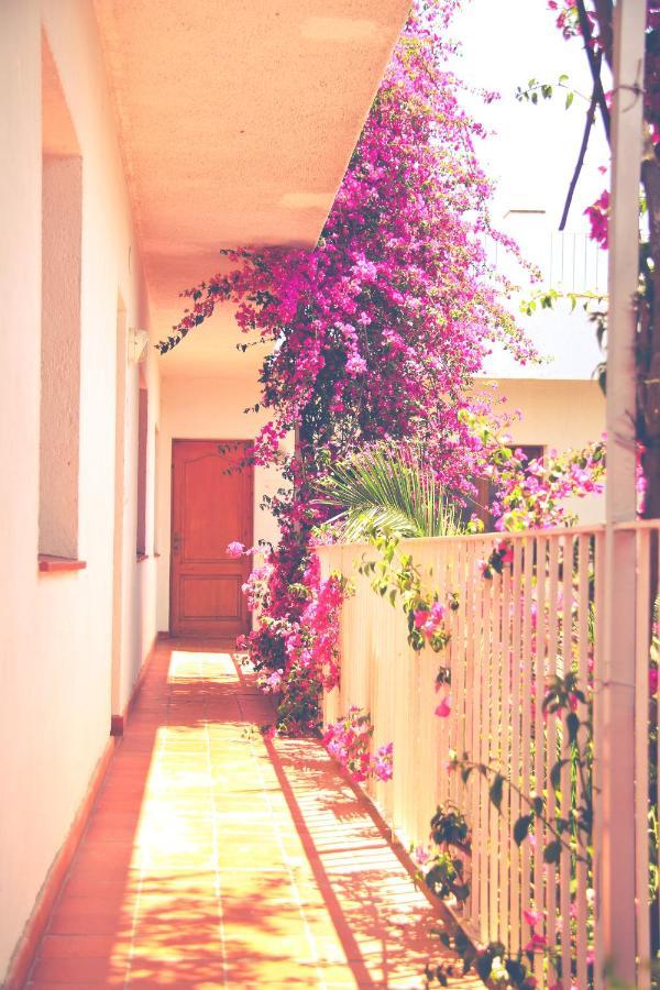 El Penell Apartament Llevant Vilamaniscle Dış mekan fotoğraf