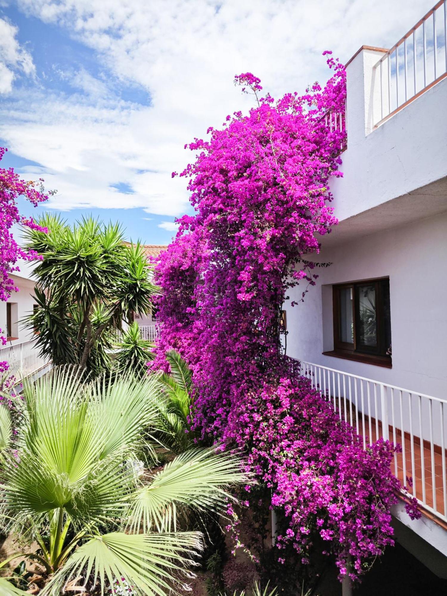 El Penell Apartament Llevant Vilamaniscle Dış mekan fotoğraf